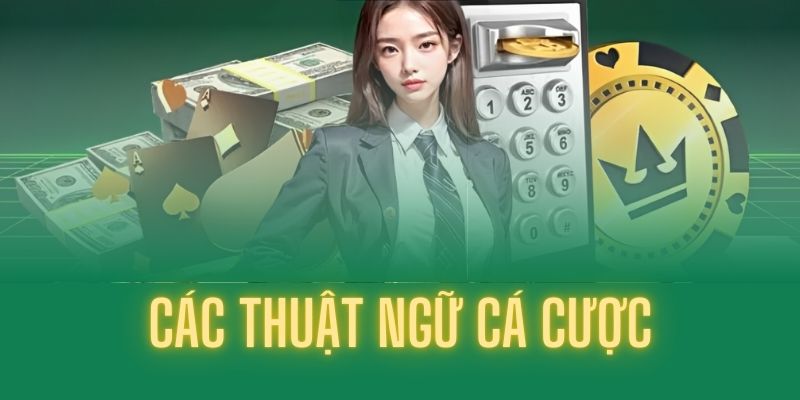 Các thuật ngữ cá cược mang đến rất nhiều lợi ích cho người chơi