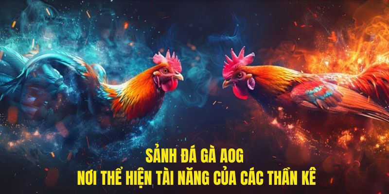 Điểm danh sân chơi đá gà hàng đầu - AOG